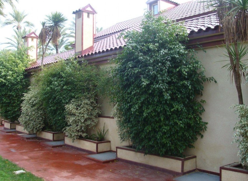 Resale - Chalet - Elche Pedanías - Alzabares