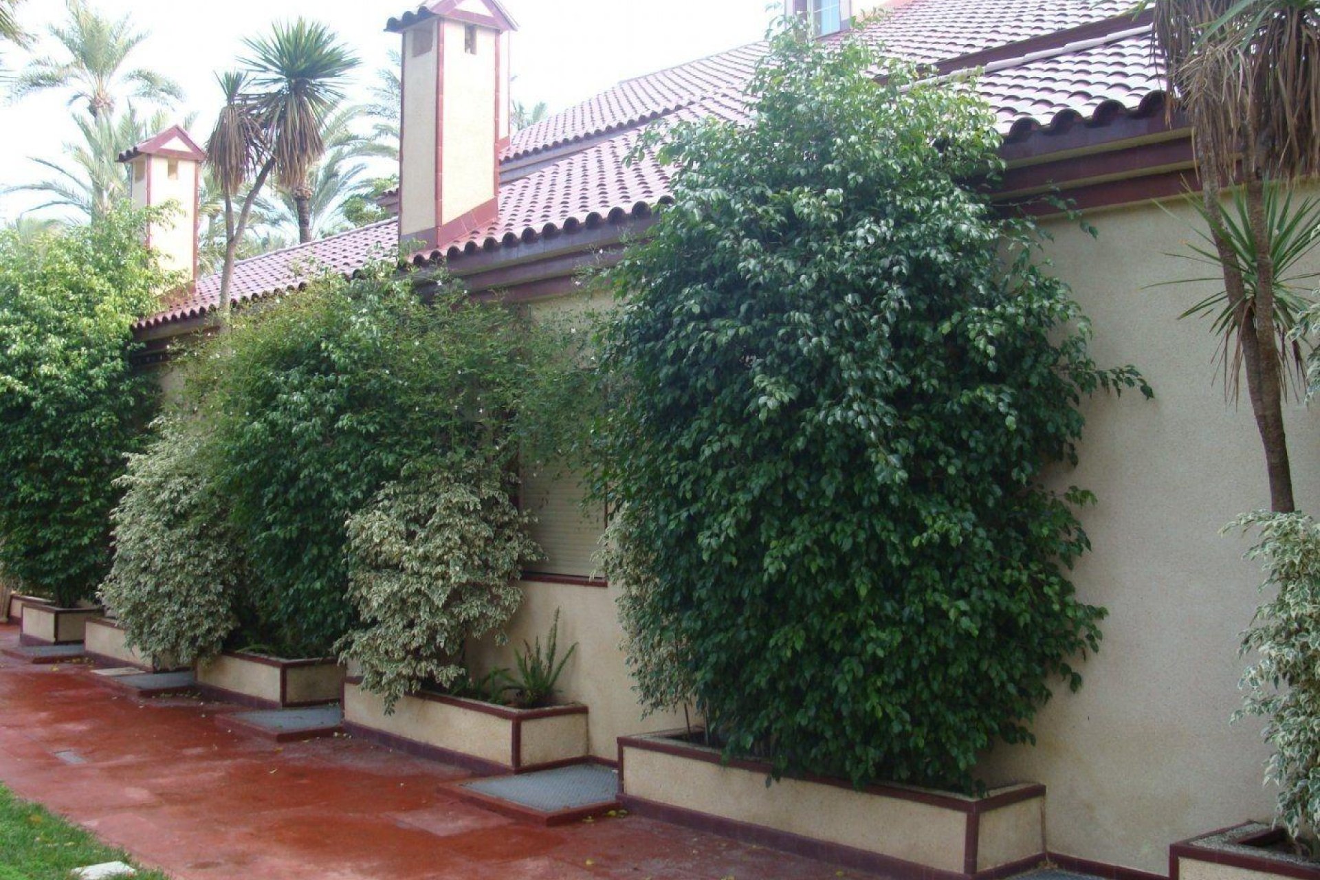 Resale - Chalet - Elche Pedanías - Alzabares