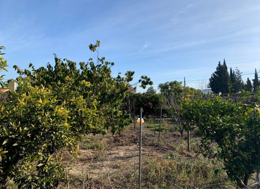 Resale - Chalet - Elche Pedanías - Alzabares