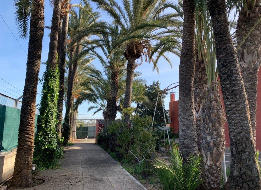 Resale - Chalet - Elche Pedanías - Alzabares