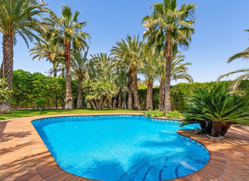 Resale - Chalet - Elche Pedanías - Alzabares