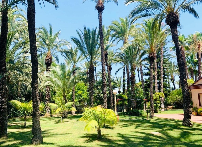 Resale - Chalet - Elche Pedanías - Alzabares