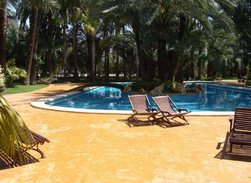Resale - Chalet - Elche Pedanías - Alzabares