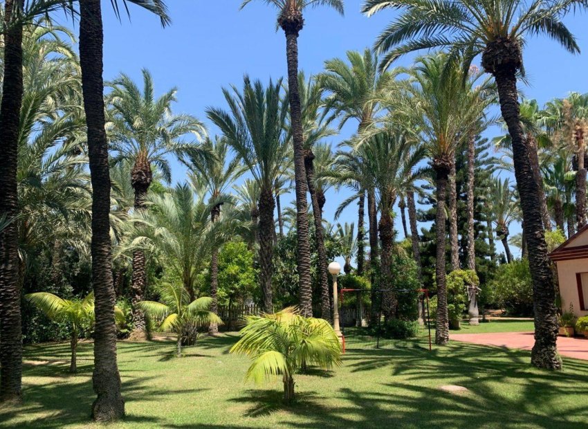 Resale - Chalet - Elche Pedanías - Alzabares