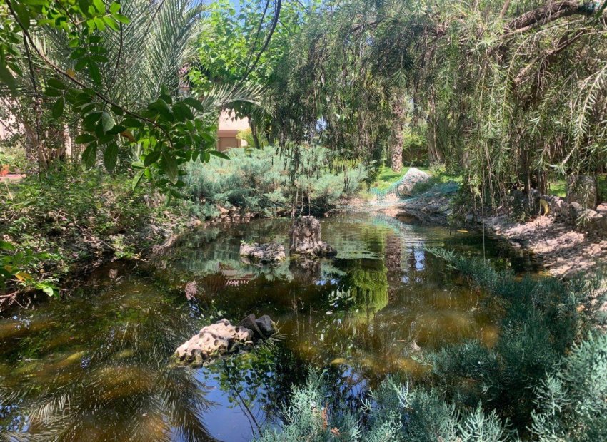Resale - Chalet - Elche Pedanías - Alzabares