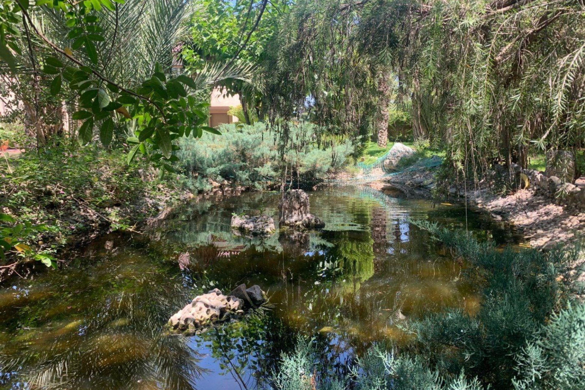 Resale - Chalet - Elche Pedanías - Alzabares