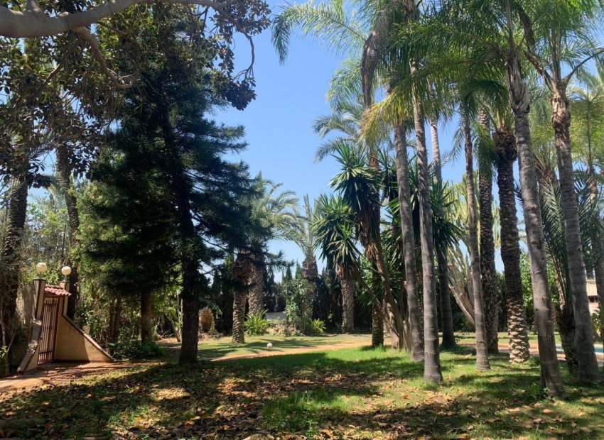Resale - Chalet - Elche Pedanías - Alzabares