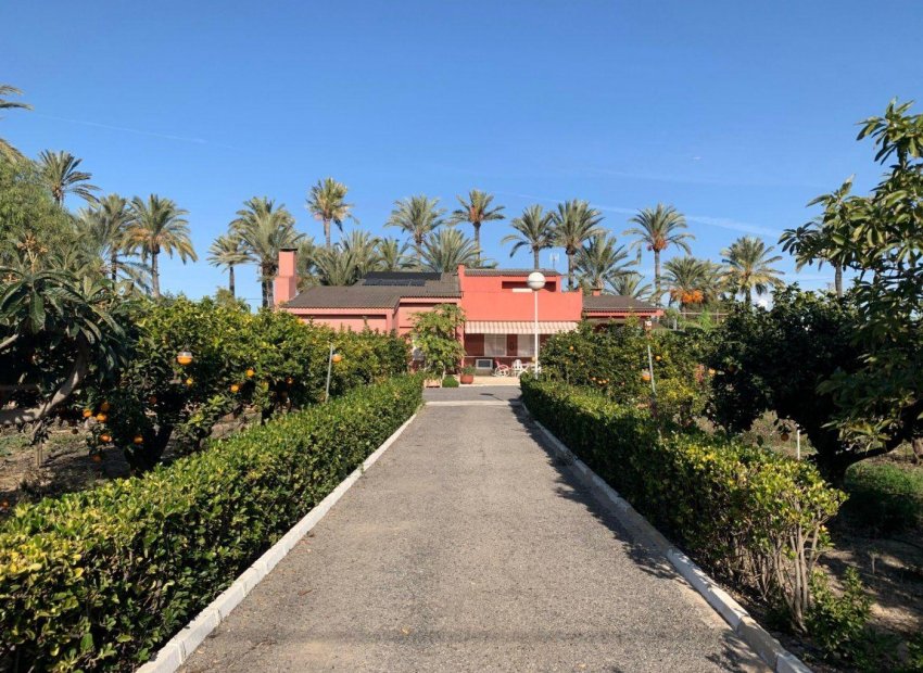 Resale - Chalet - Elche Pedanías - Alzabares