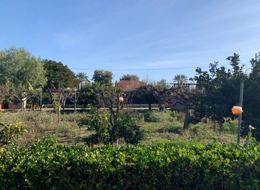 Resale - Chalet - Elche Pedanías - Alzabares