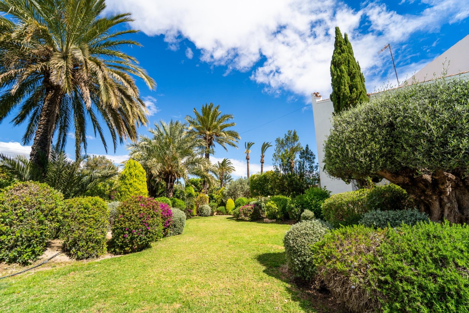 Resale - Chalet - Elche Pedanías - Carretera santa pola