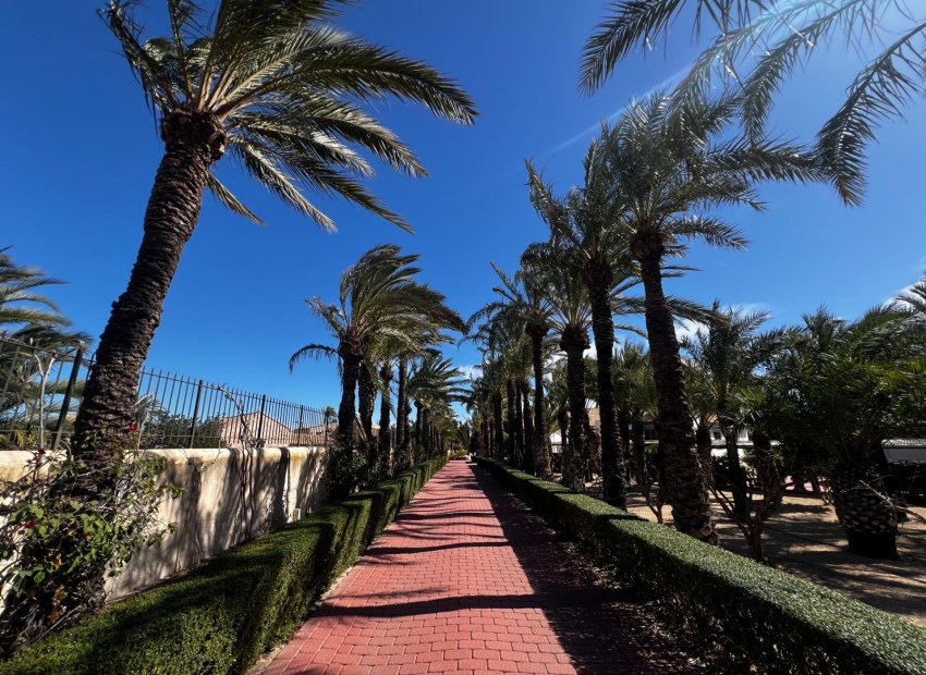 Resale - Chalet - Elche Pedanías - Maitino