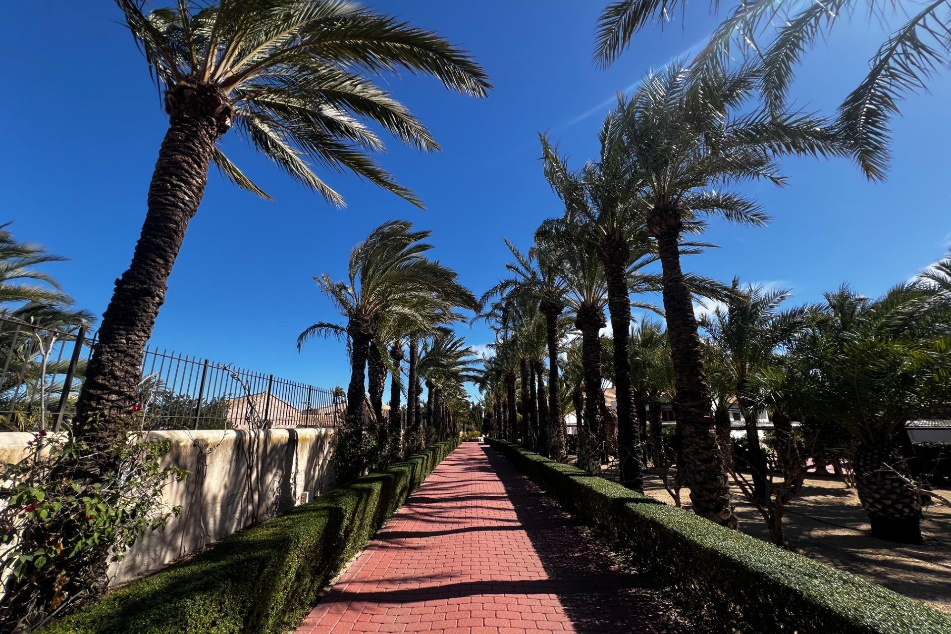 Resale - Chalet - Elche Pedanías - Maitino