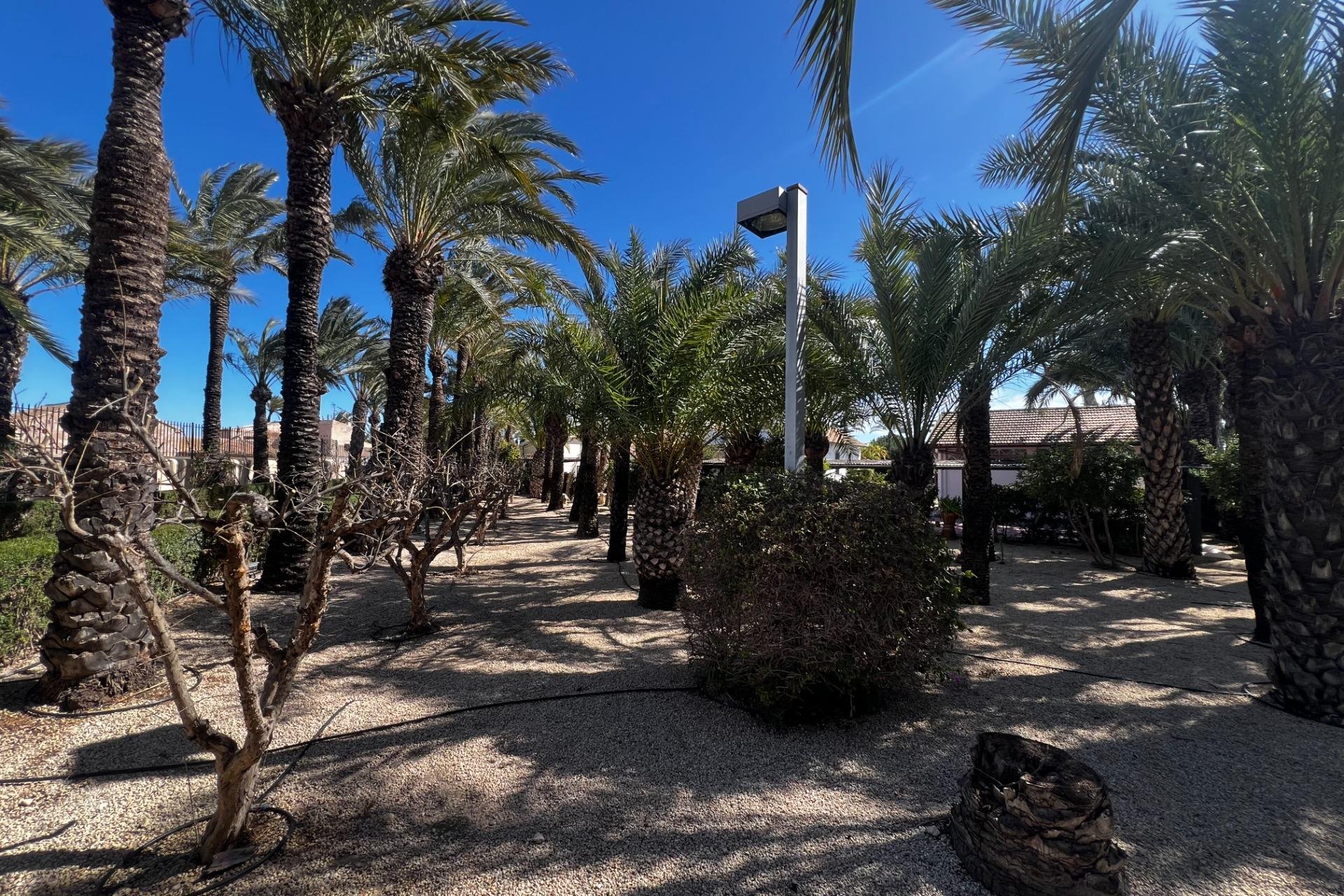 Resale - Chalet - Elche Pedanías - Maitino