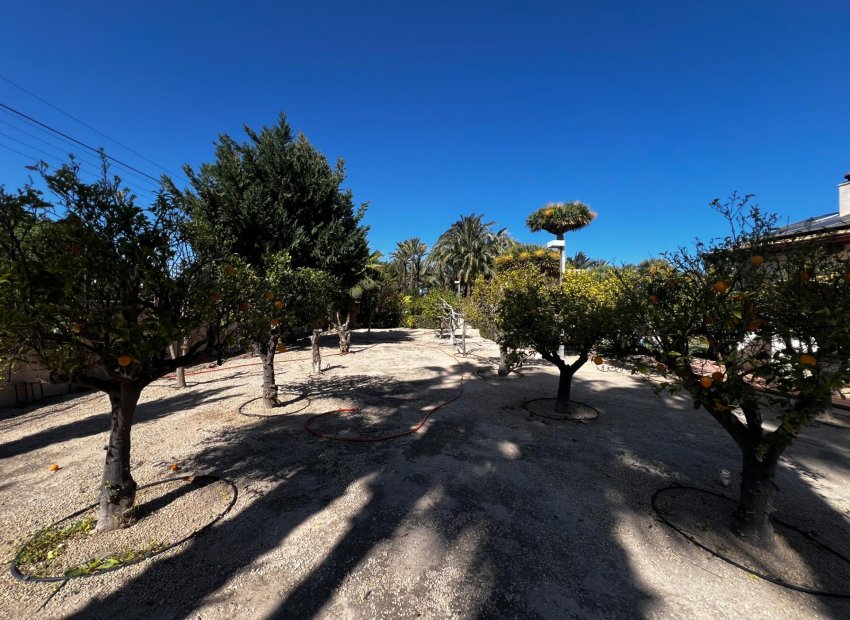 Resale - Chalet - Elche Pedanías - Maitino