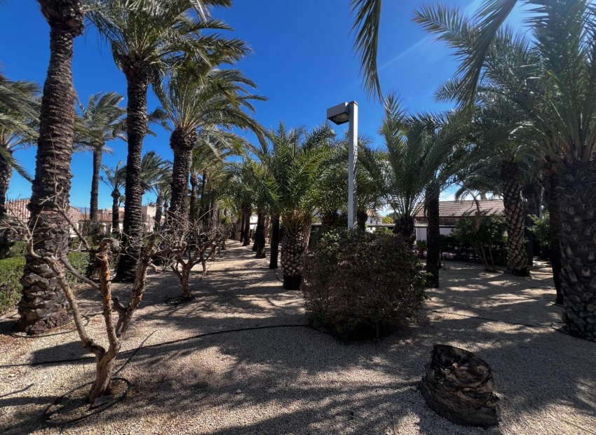 Resale - Chalet - Elche Pedanías - Maitino