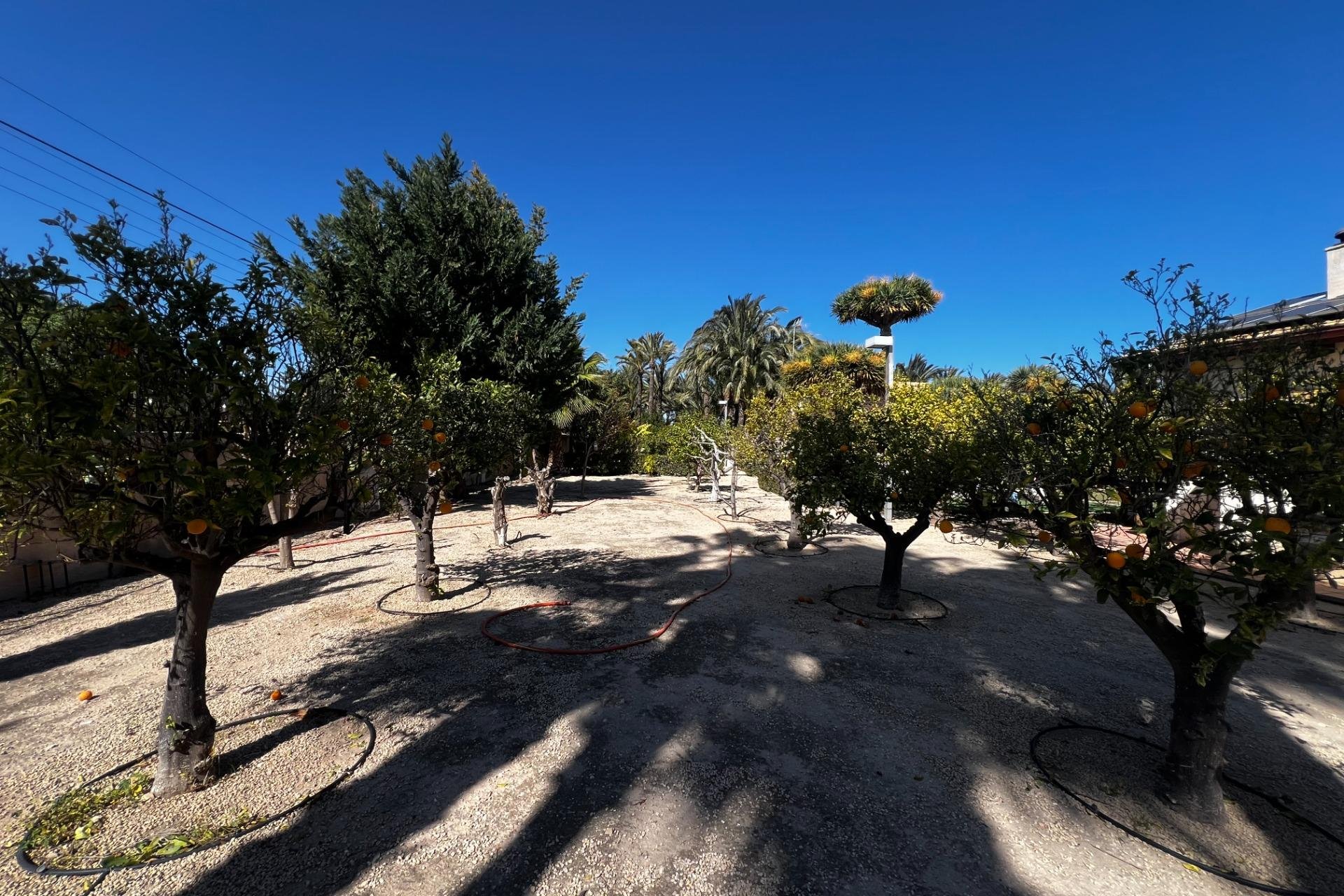Resale - Chalet - Elche Pedanías - Maitino