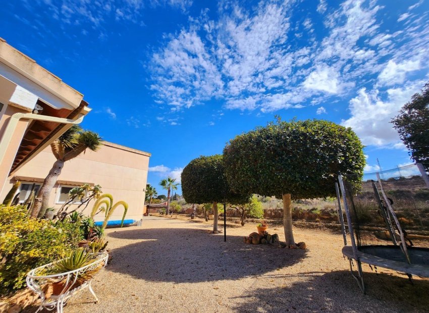 Resale - Chalet - Jacarilla