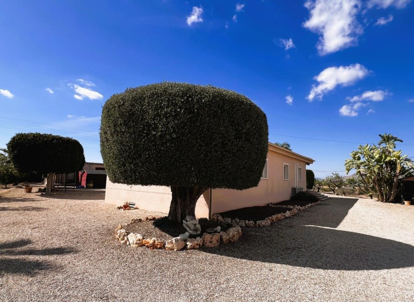 Resale - Chalet - Jacarilla