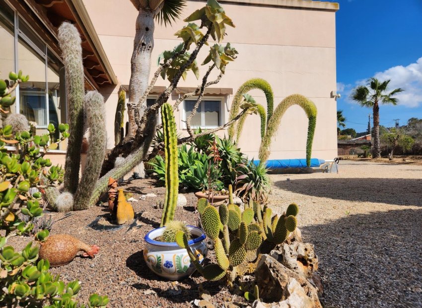 Resale - Chalet - Orihuela - Molins-Campaneta-San Bartolomé