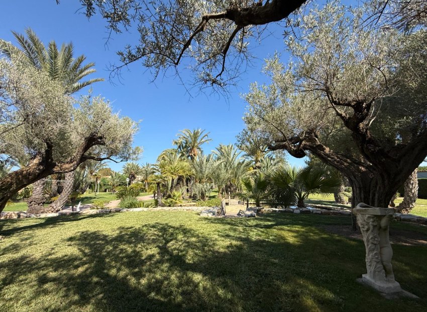 Resale - Chalet - Valverde (Alicante) - Valverde