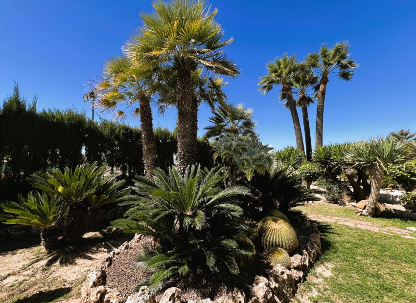 Resale - Chalet - Valverde (Alicante) - Valverde