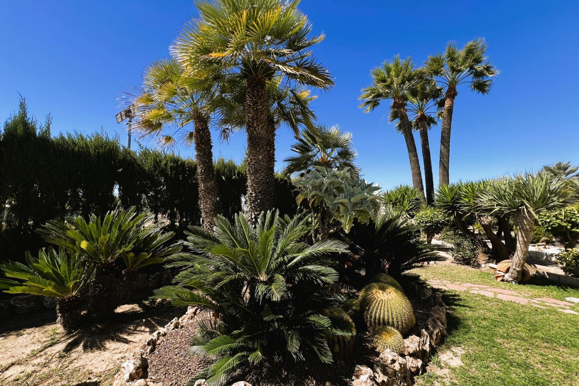 Resale - Chalet - Valverde (Alicante) - Valverde