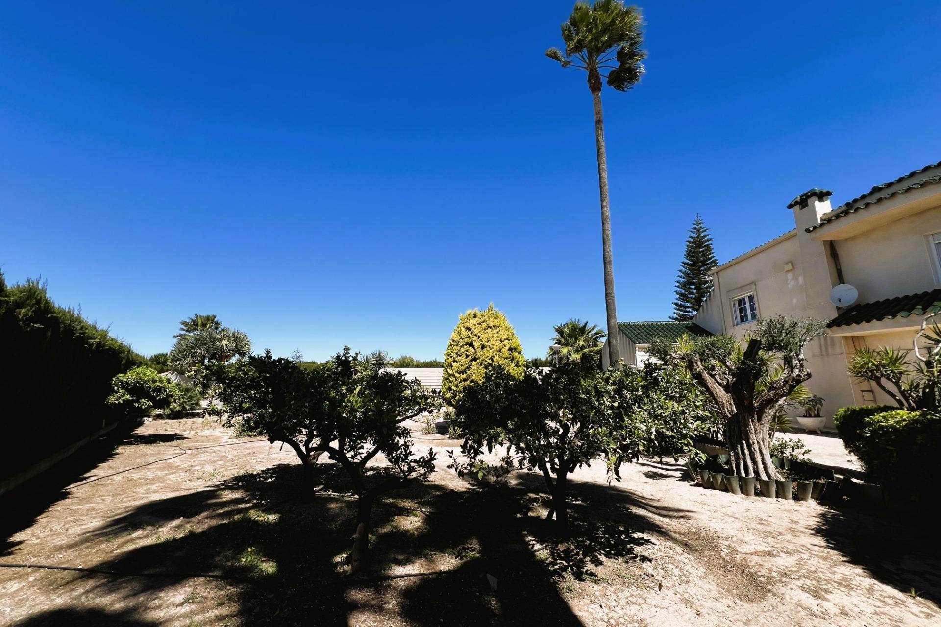 Resale - Chalet - Valverde (Alicante) - Valverde