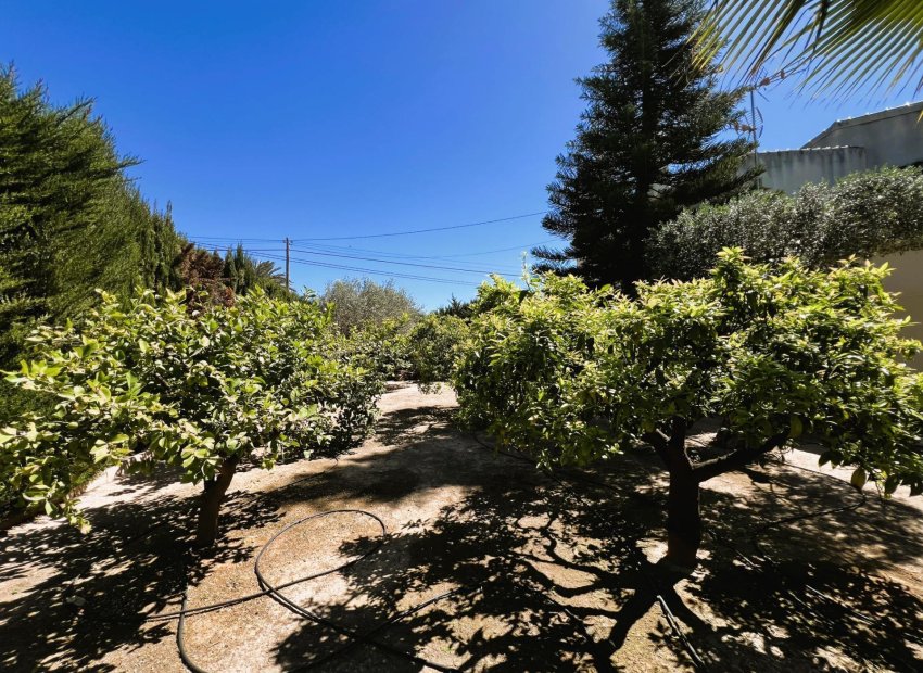 Resale - Chalet - Valverde (Alicante) - Valverde