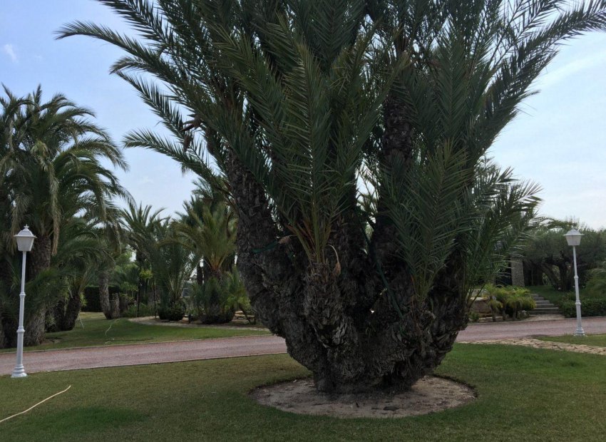 Resale - Chalet - Valverde (Alicante) - Valverde
