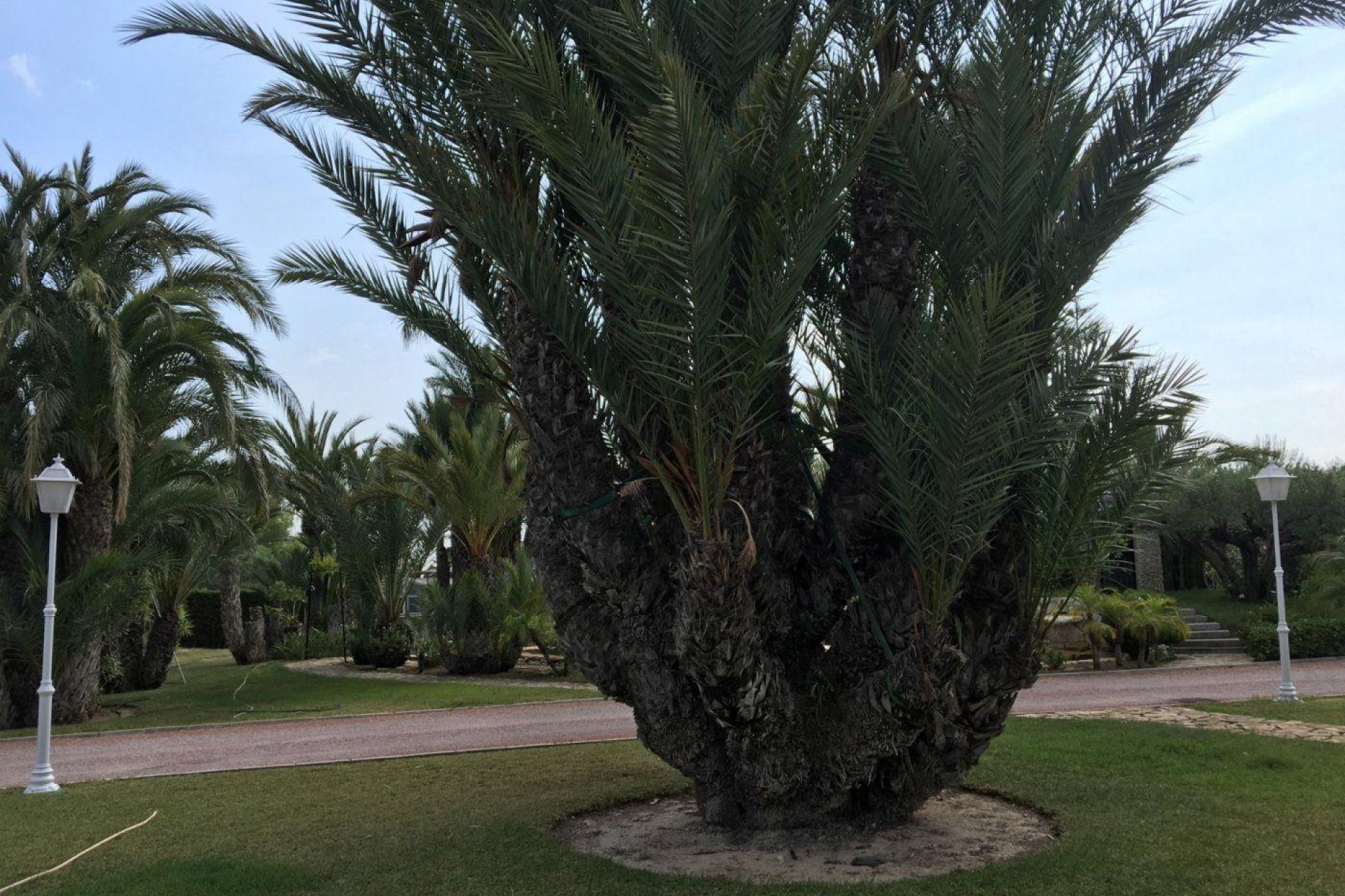 Resale - Chalet - Valverde (Alicante) - Valverde