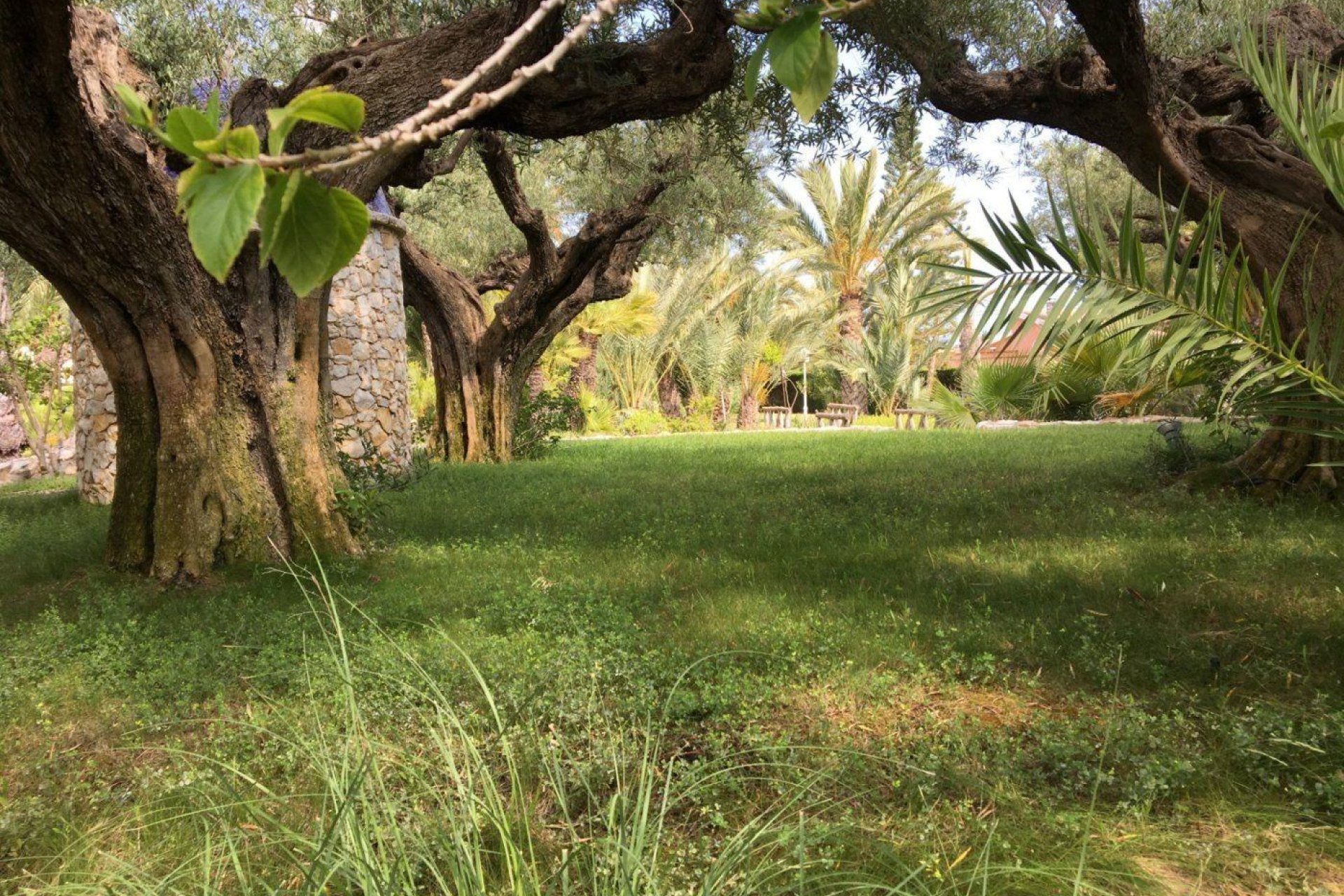 Resale - Chalet - Valverde (Alicante) - Valverde