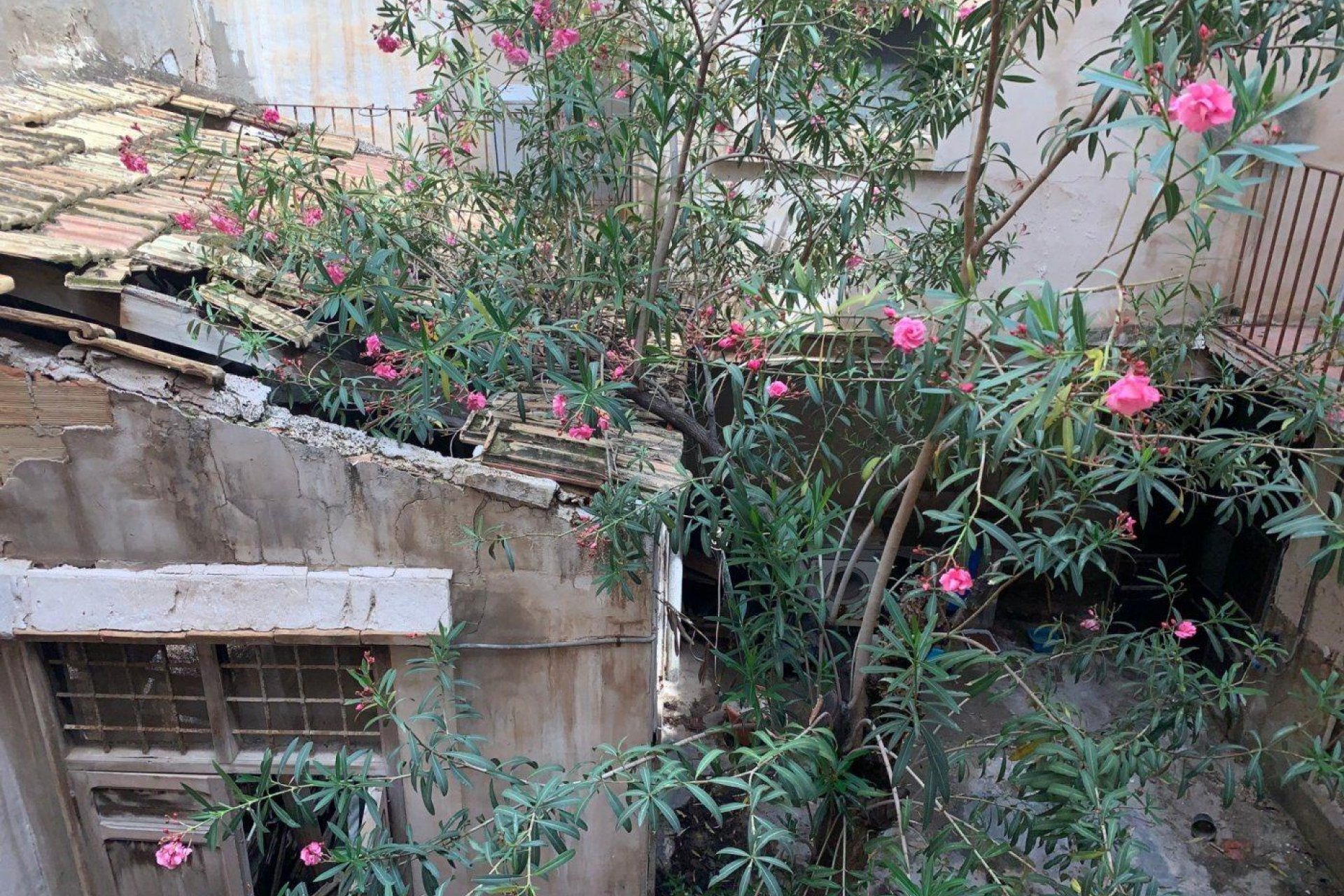 Resale - Edificio - Elche - Centro