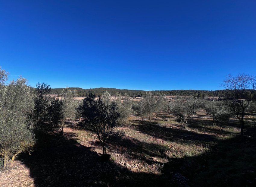 Resale - Finca rústica - Bocairent - Sierra de Mariola