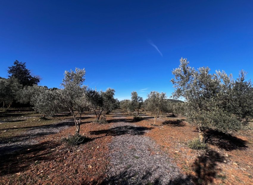 Resale - Finca rústica - Bocairent - Sierra de Mariola
