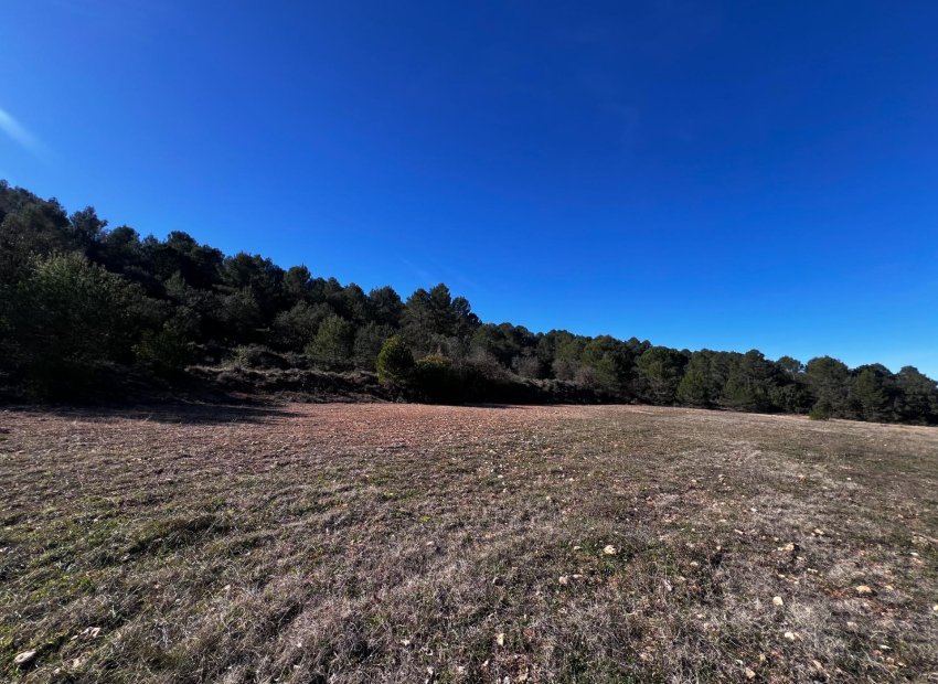 Resale - Finca rústica - Bocairent - Sierra de Mariola
