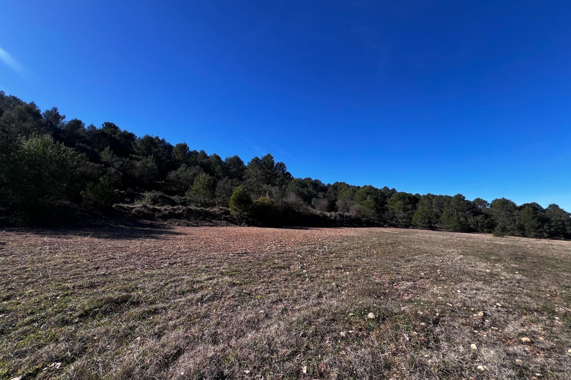 Resale - Finca rústica - Bocairent - Sierra de Mariola