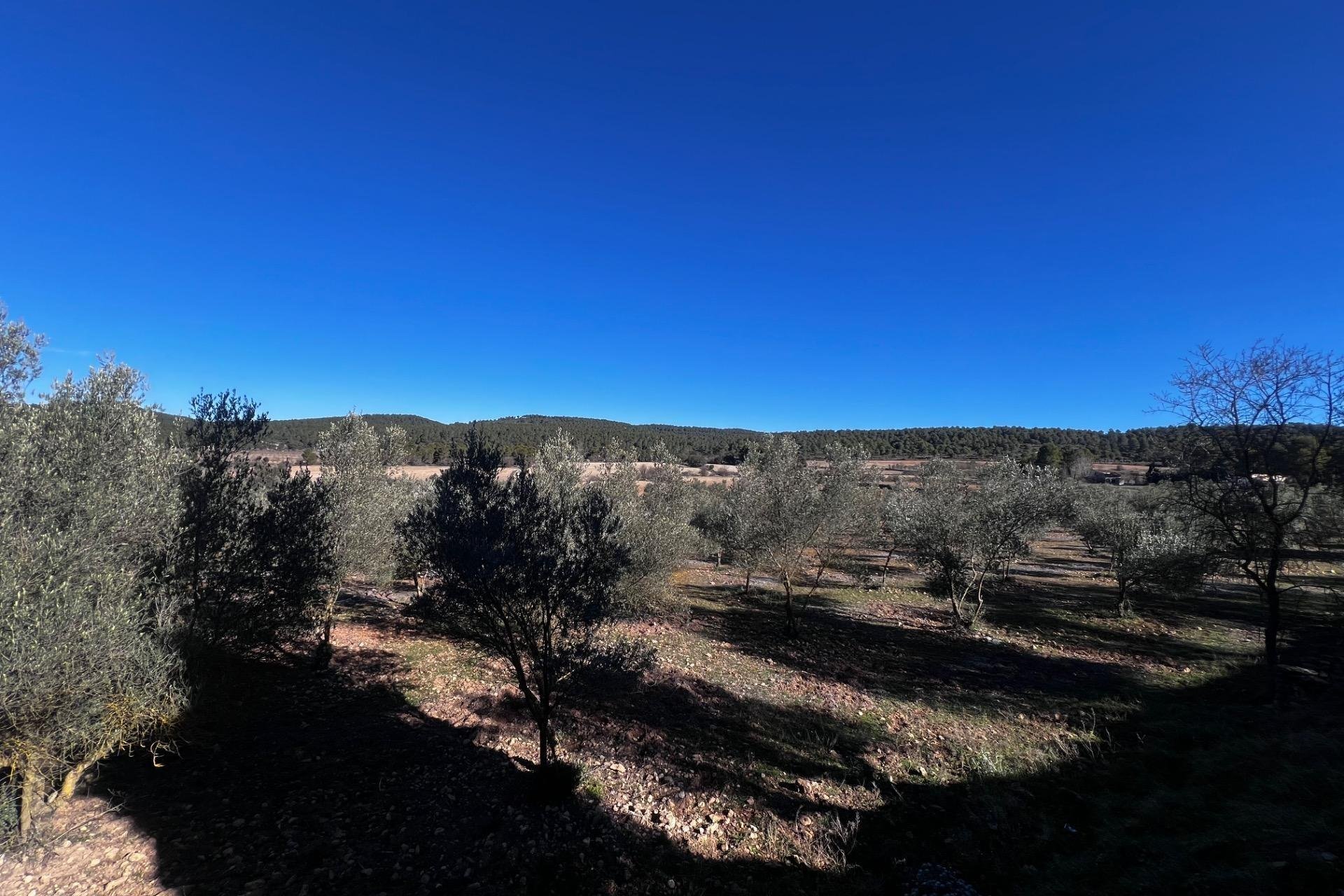 Resale - Finca rústica - Bocairent - Sierra de Mariola