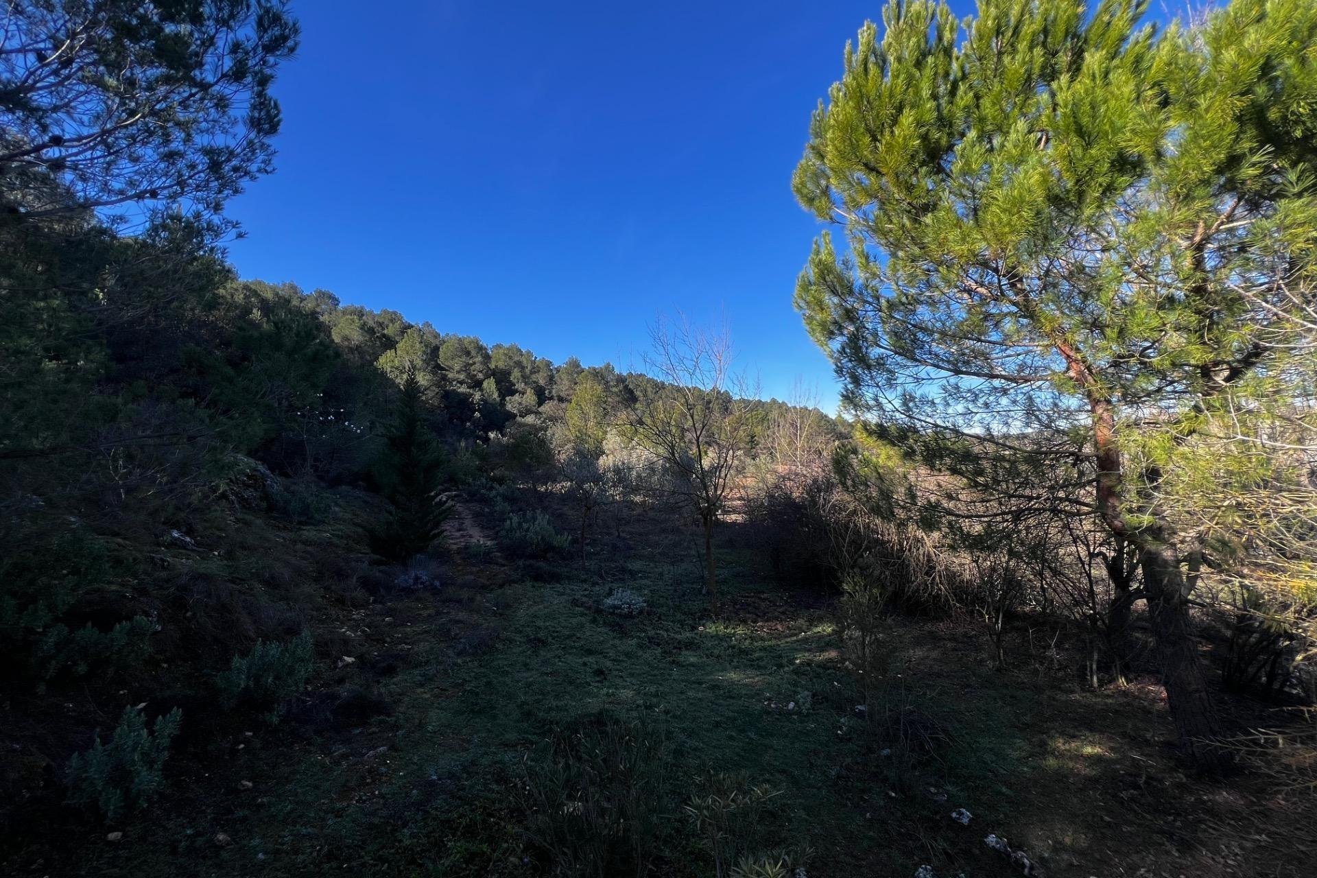 Resale - Finca rústica - Bocairent - Sierra de Mariola