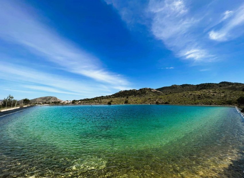 Resale - Finca rústica - Monovar - Monover - Beties