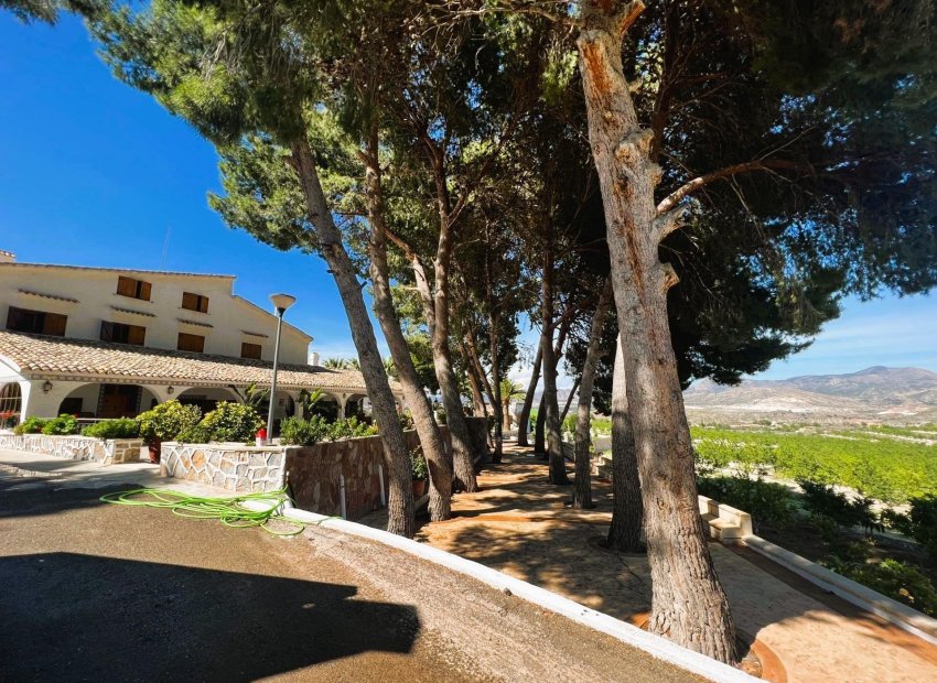 Resale - Finca rústica - Monovar - Monover - Beties