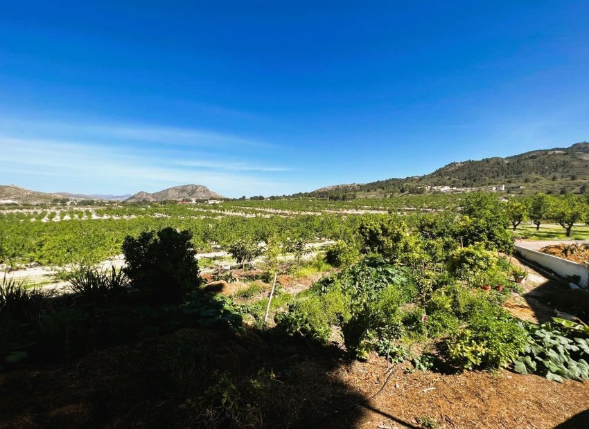 Resale - Finca rústica - Monovar - Monover - Beties