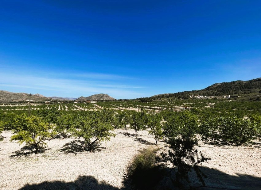 Resale - Finca rústica - Monovar - Monover - Beties