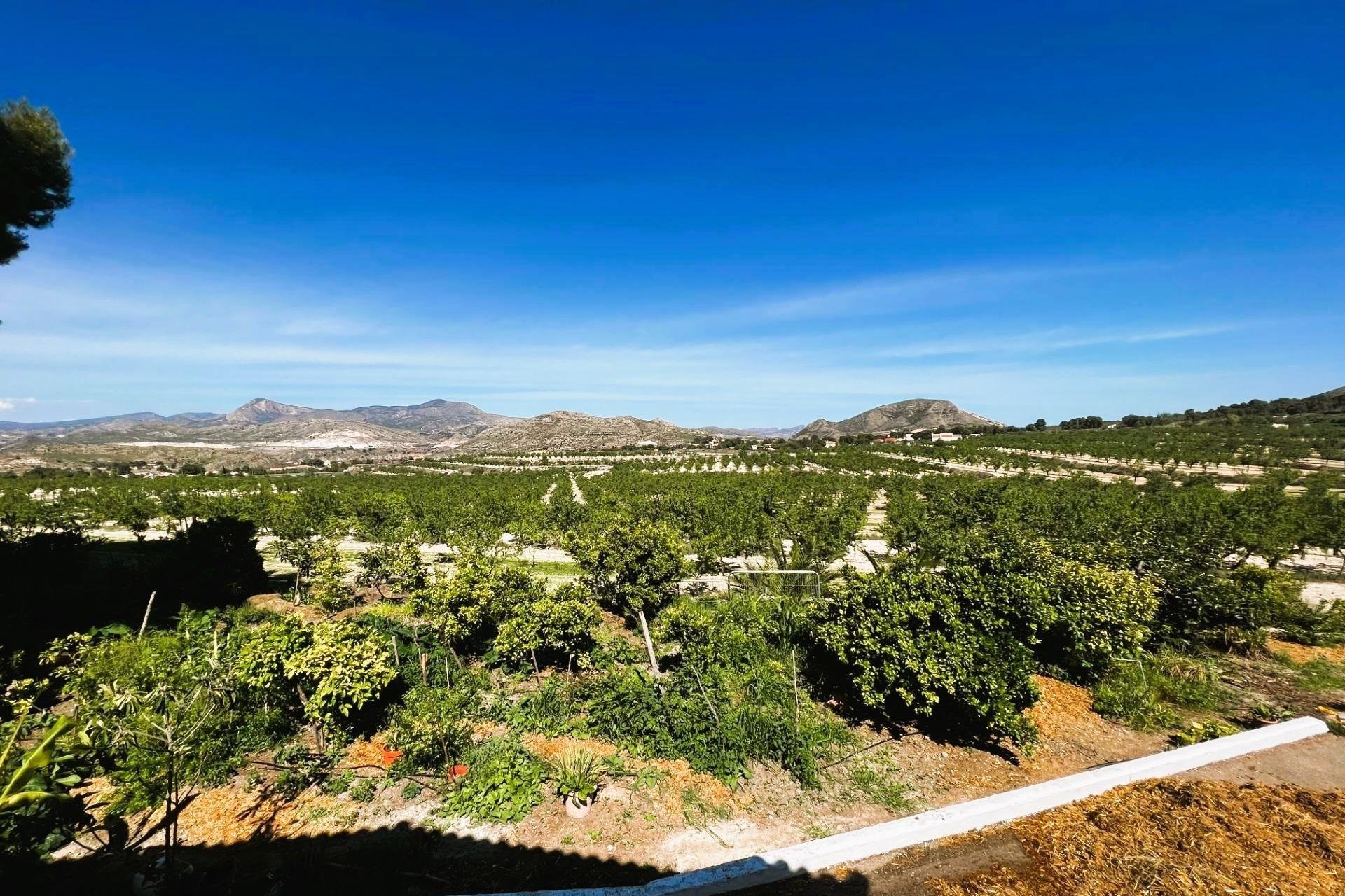 Resale - Finca rústica - Monovar - Monover - Beties