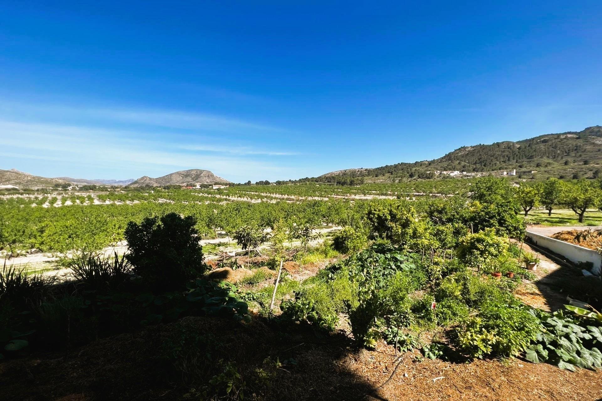 Resale - Finca rústica - Monovar - Monover - Beties