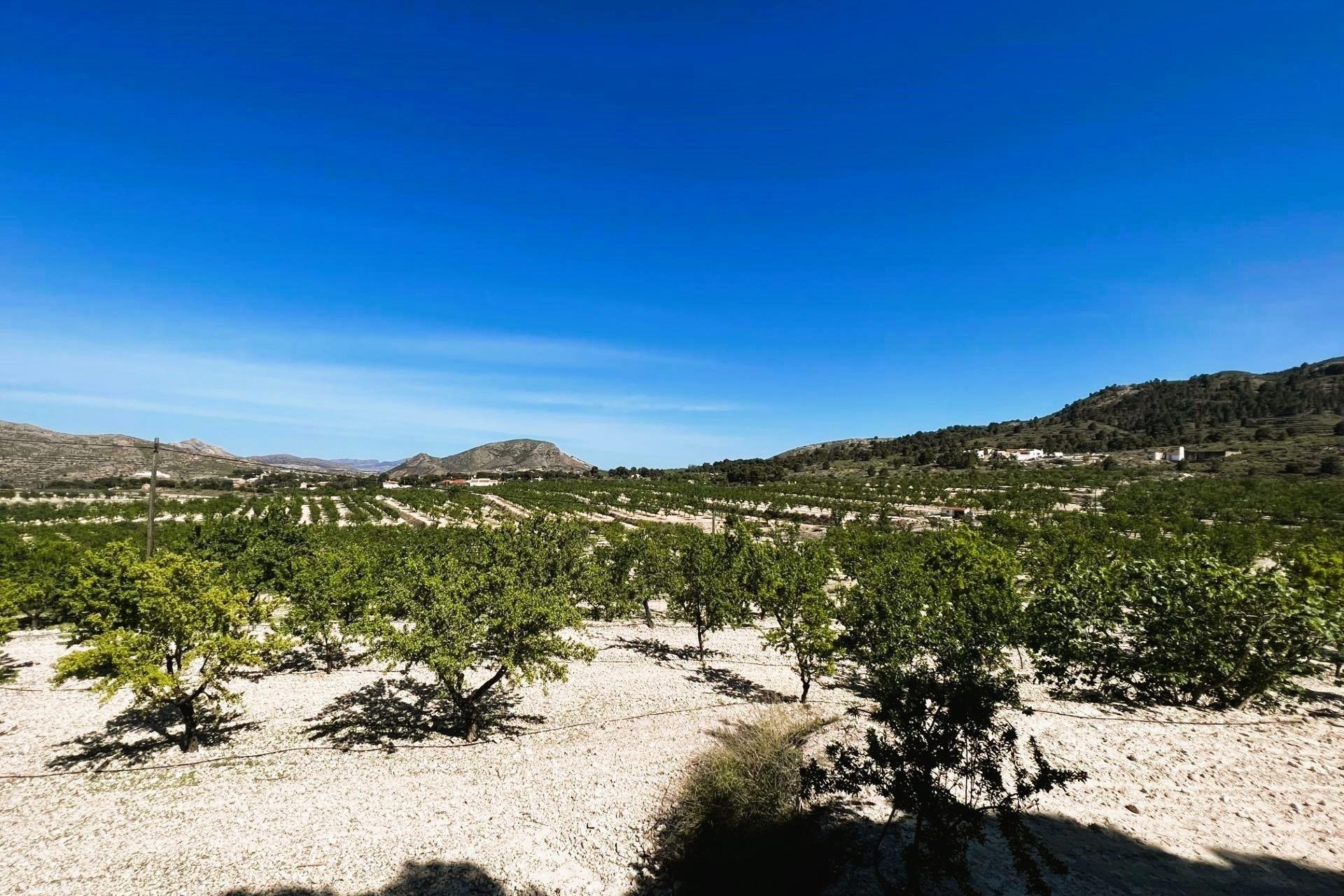 Resale - Finca rústica - Monovar - Monover - Beties