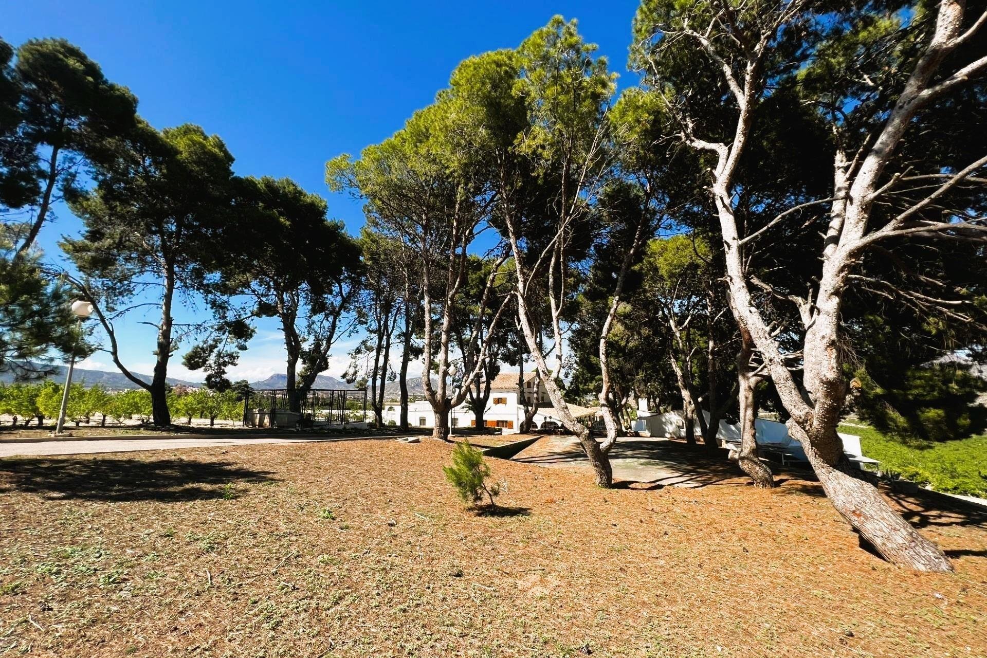 Resale - Finca rústica - Monovar - Monover - Beties