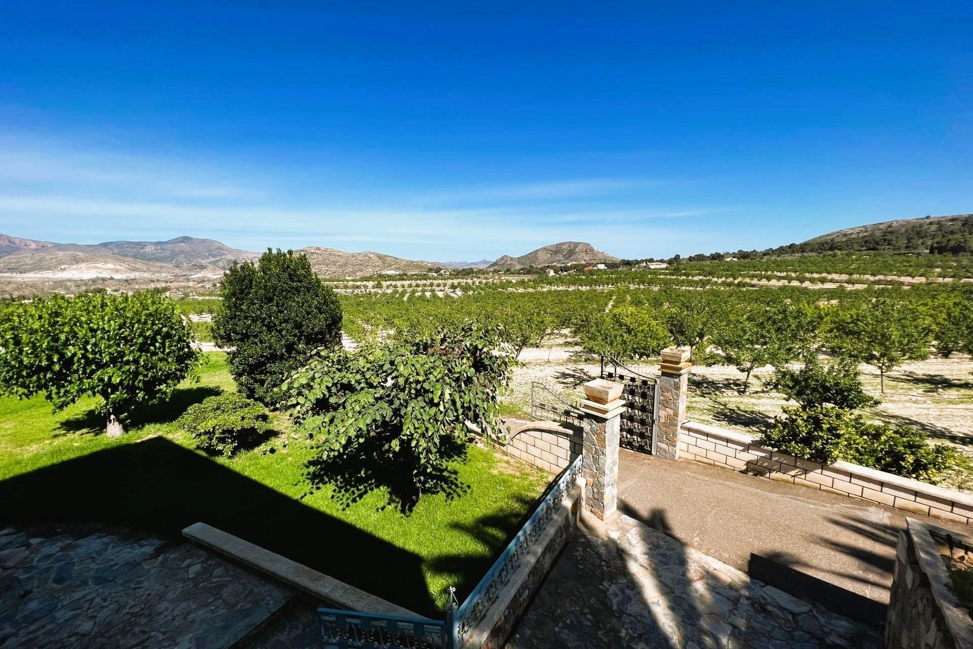 Resale - Finca rústica - Monovar - Monover - Beties