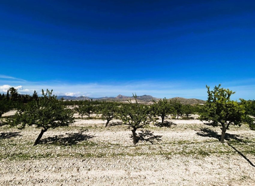 Resale - Finca rústica - Monovar - Monover - Beties