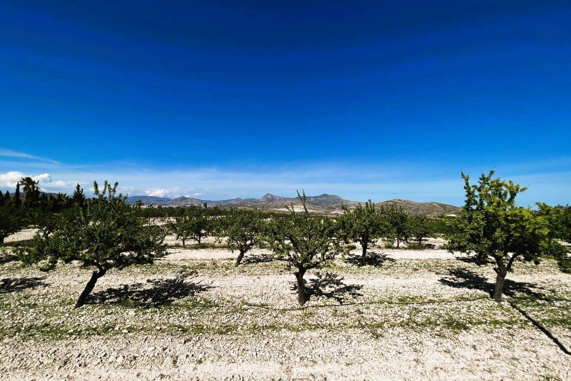 Resale - Finca rústica - Monovar - Monover - Beties