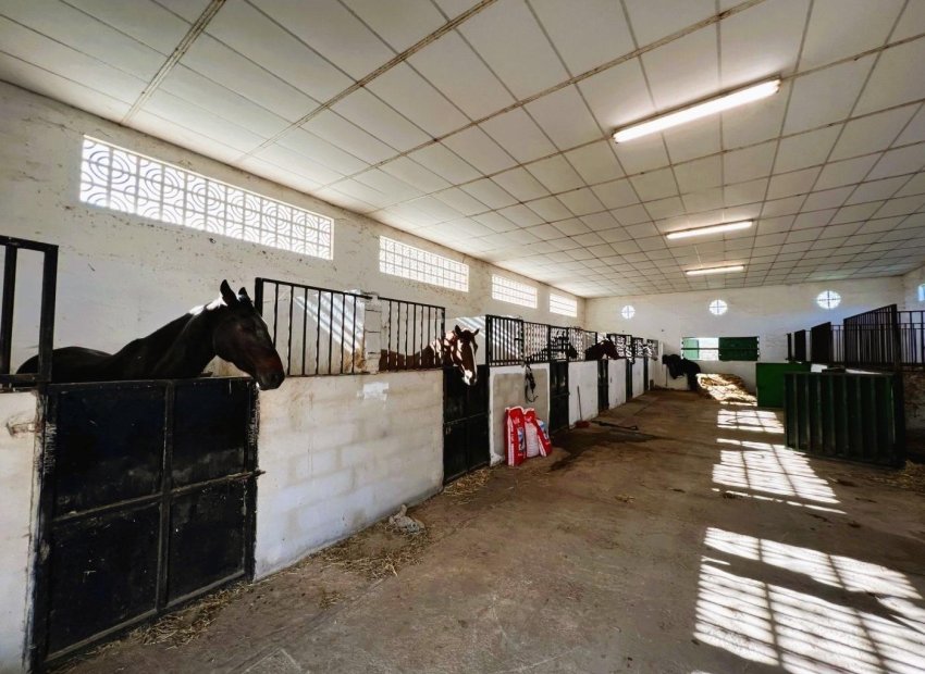 Resale - Finca rústica - Novelda - SERRETA